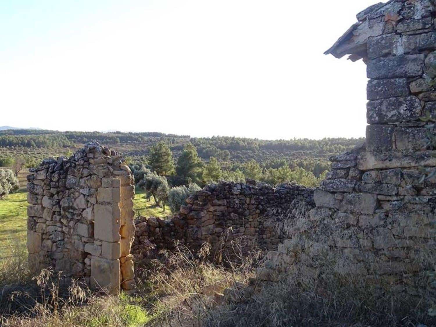 1 chambre Finca/Maison de Campagne à vendre à Torre del Compte - 70 000 € (Ref: 10124640)