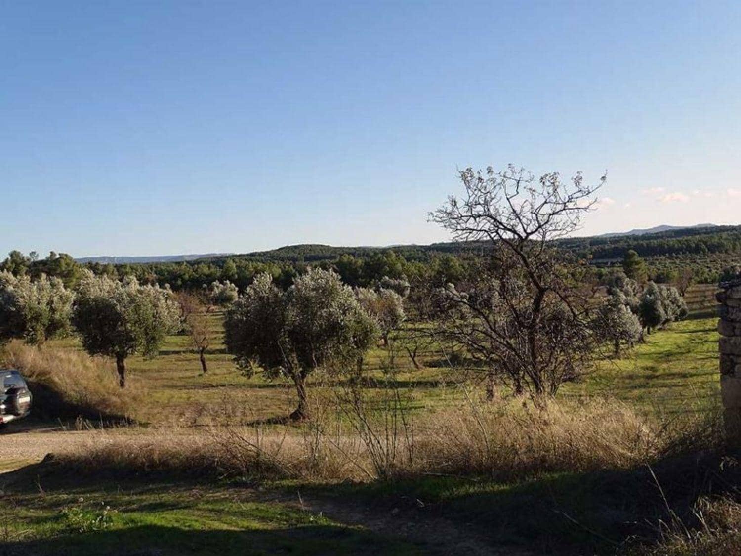 1 chambre Finca/Maison de Campagne à vendre à Torre del Compte - 70 000 € (Ref: 10124640)