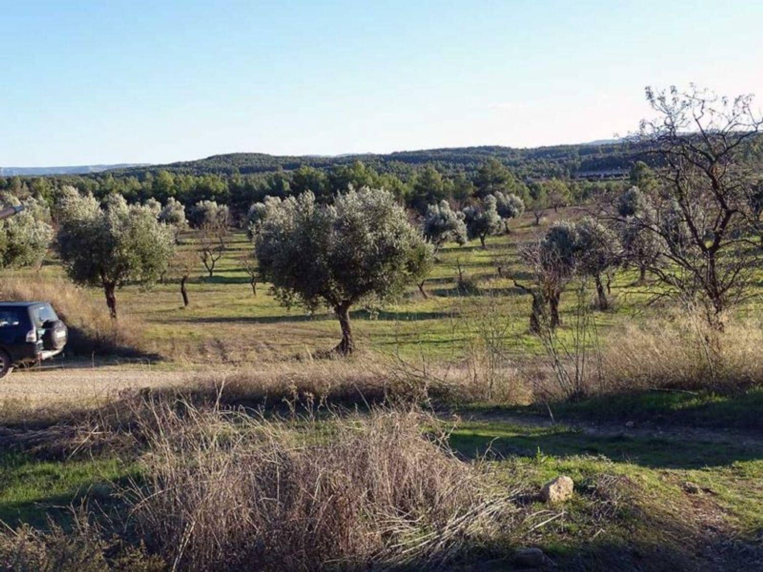 1 chambre Finca/Maison de Campagne à vendre à Torre del Compte - 70 000 € (Ref: 10124640)