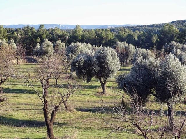 1 soveværelse Finca/Landehus til salg i Torre del Compte - € 70.000 (Ref: 10124640)