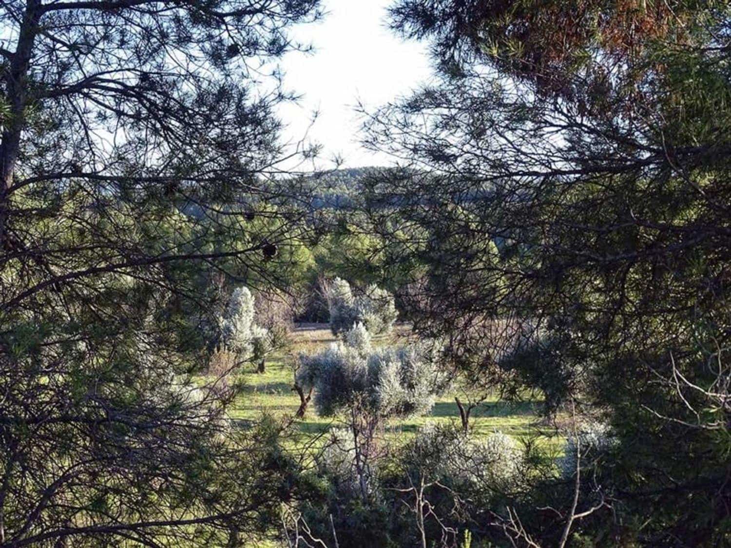 1 chambre Finca/Maison de Campagne à vendre à Torre del Compte - 70 000 € (Ref: 10124640)