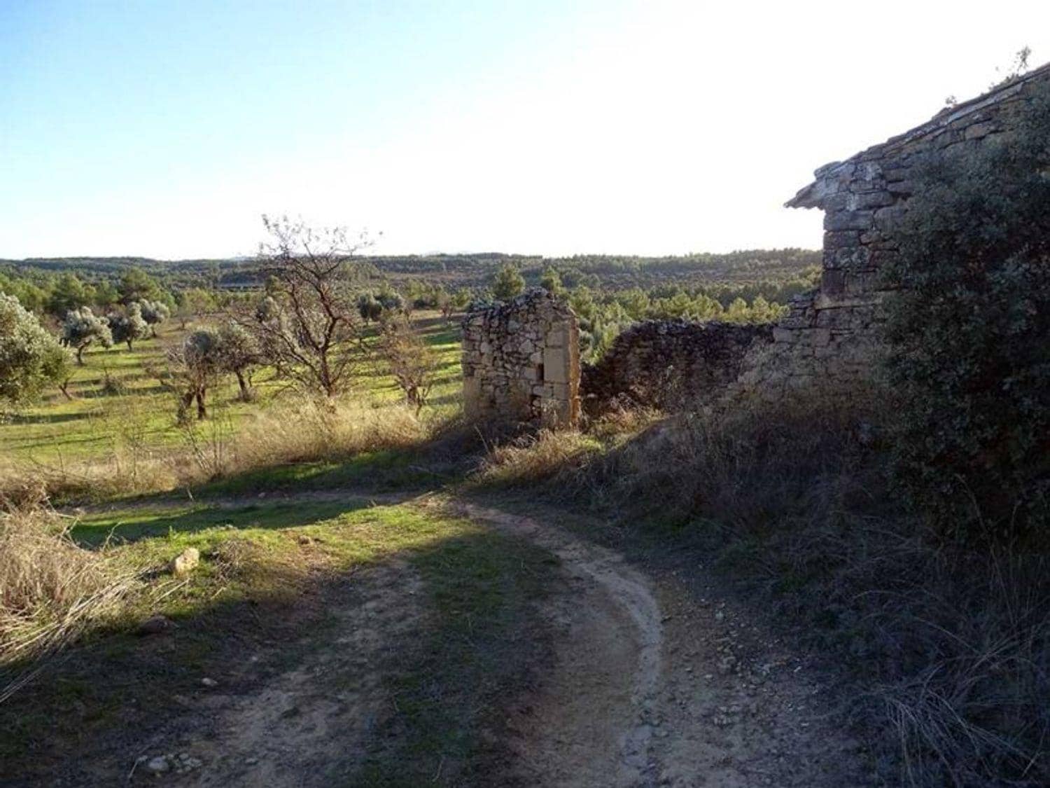 1 chambre Finca/Maison de Campagne à vendre à Torre del Compte - 70 000 € (Ref: 10124640)
