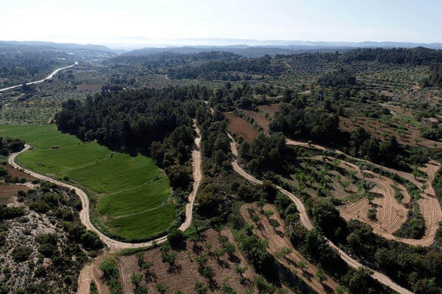 Ubebygd land til salgs i Valjunquera - € 35 000 (Ref: 10124643)