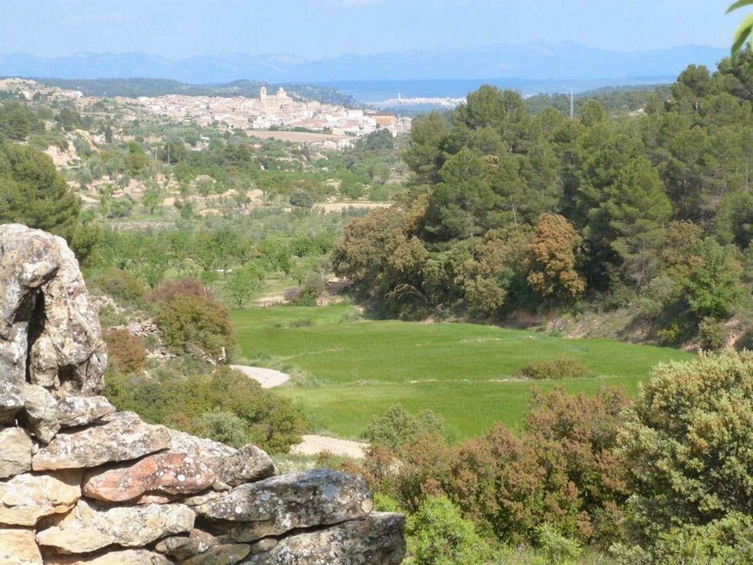 Ubebygd land til salgs i Valjunquera - € 35 000 (Ref: 10124643)