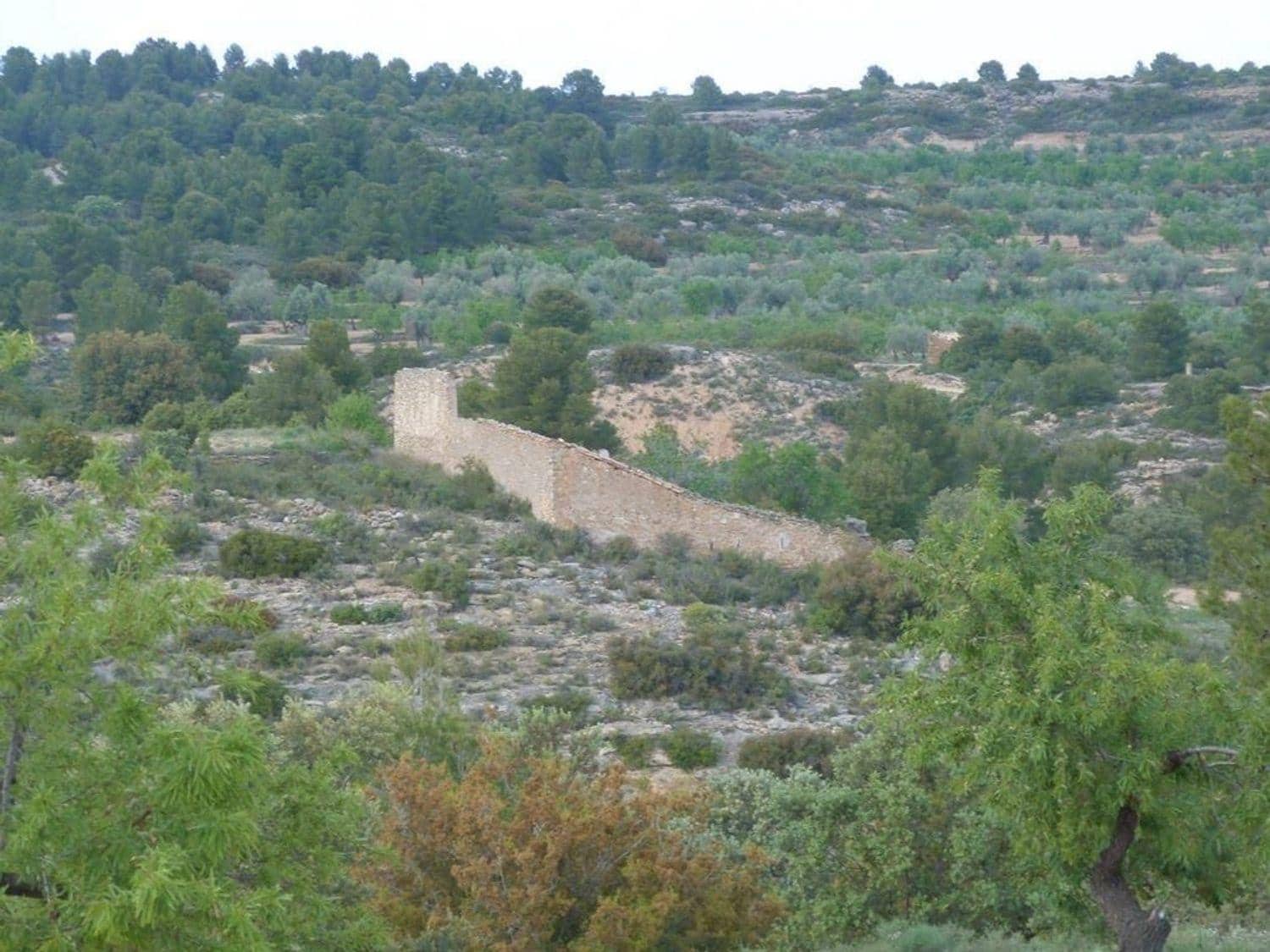 Ubebygd land til salgs i Valjunquera - € 35 000 (Ref: 10124643)