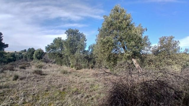 Tontti myytävänä paikassa Calaceite - 9 000 € (Ref: 10124644)