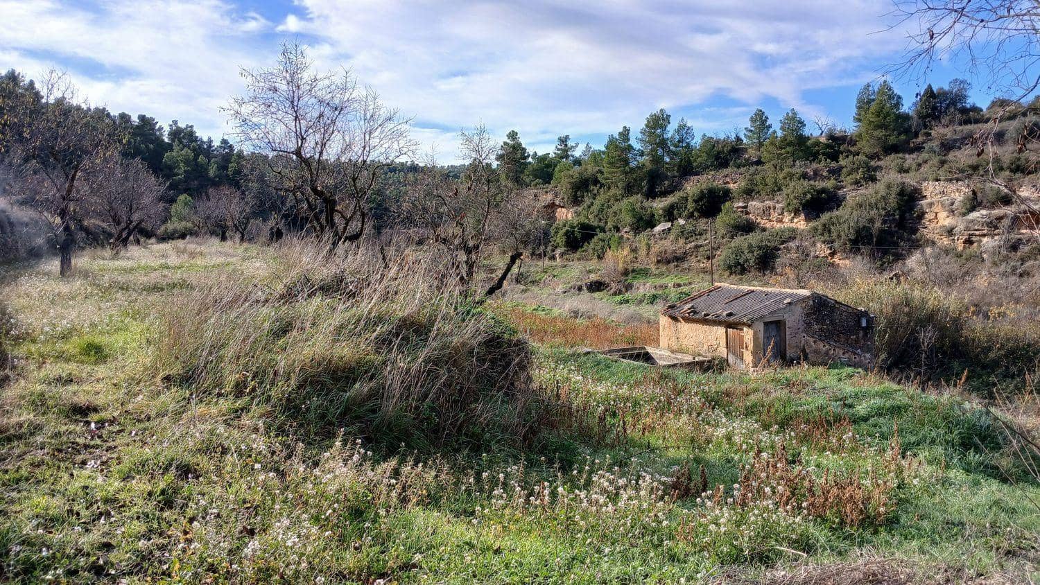 Terreno para Construção para venda em Valjunquera - 18 000 € (Ref: 10124651)