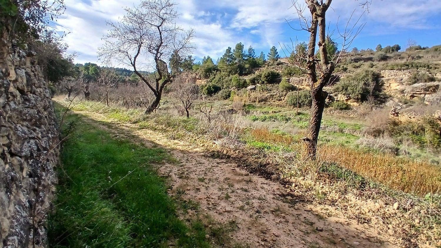 Terreno para Construção para venda em Valjunquera - 18 000 € (Ref: 10124651)
