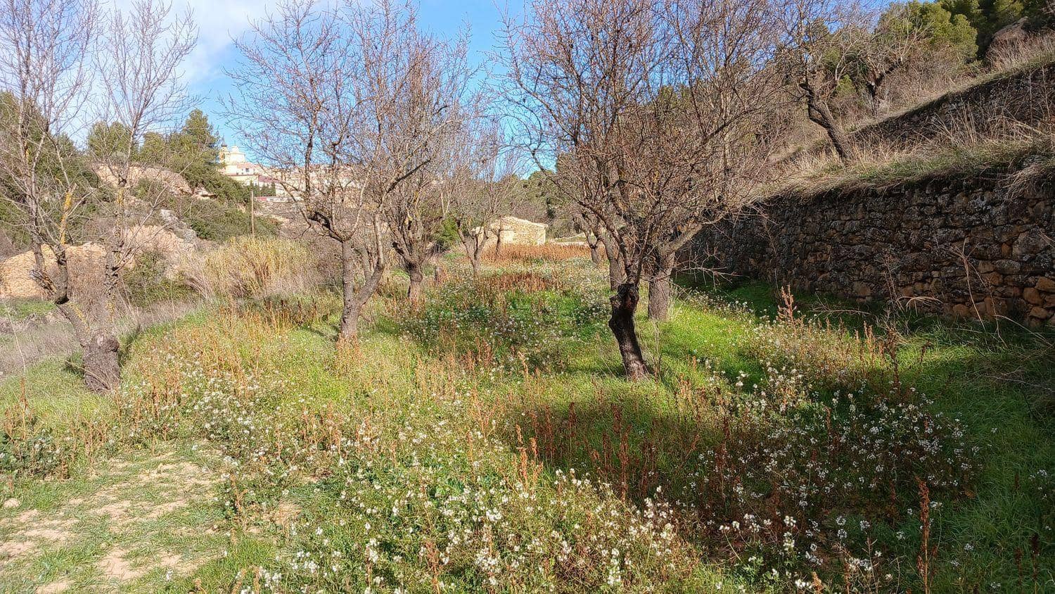 Terreno para Construção para venda em Valjunquera - 18 000 € (Ref: 10124651)