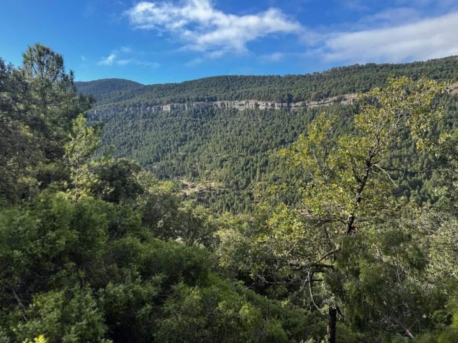 Terreno para Construção para venda em Valderrobres - 200 000 € (Ref: 10124652)