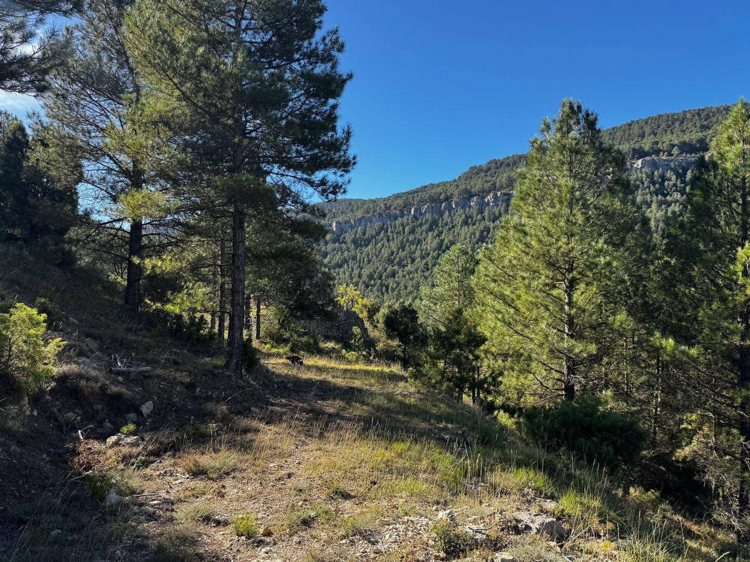 Terreno para Construção para venda em Valderrobres - 200 000 € (Ref: 10124652)