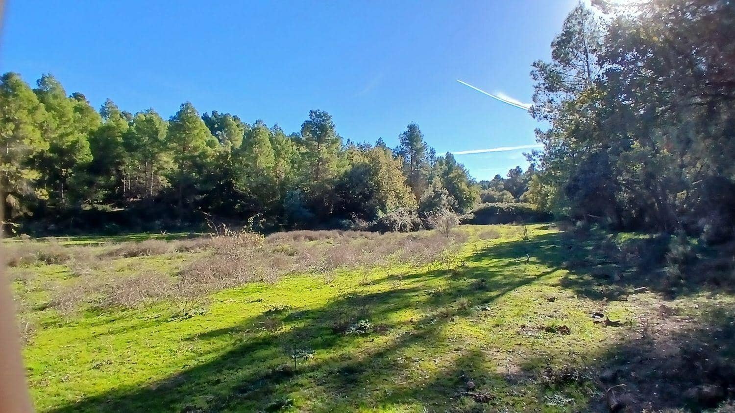 Terreno para Construção para venda em Cretas - 13 000 € (Ref: 10131419)