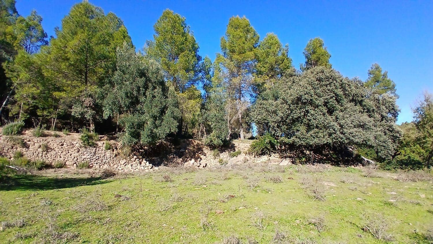 Terreno para Construção para venda em Cretas - 13 000 € (Ref: 10131419)