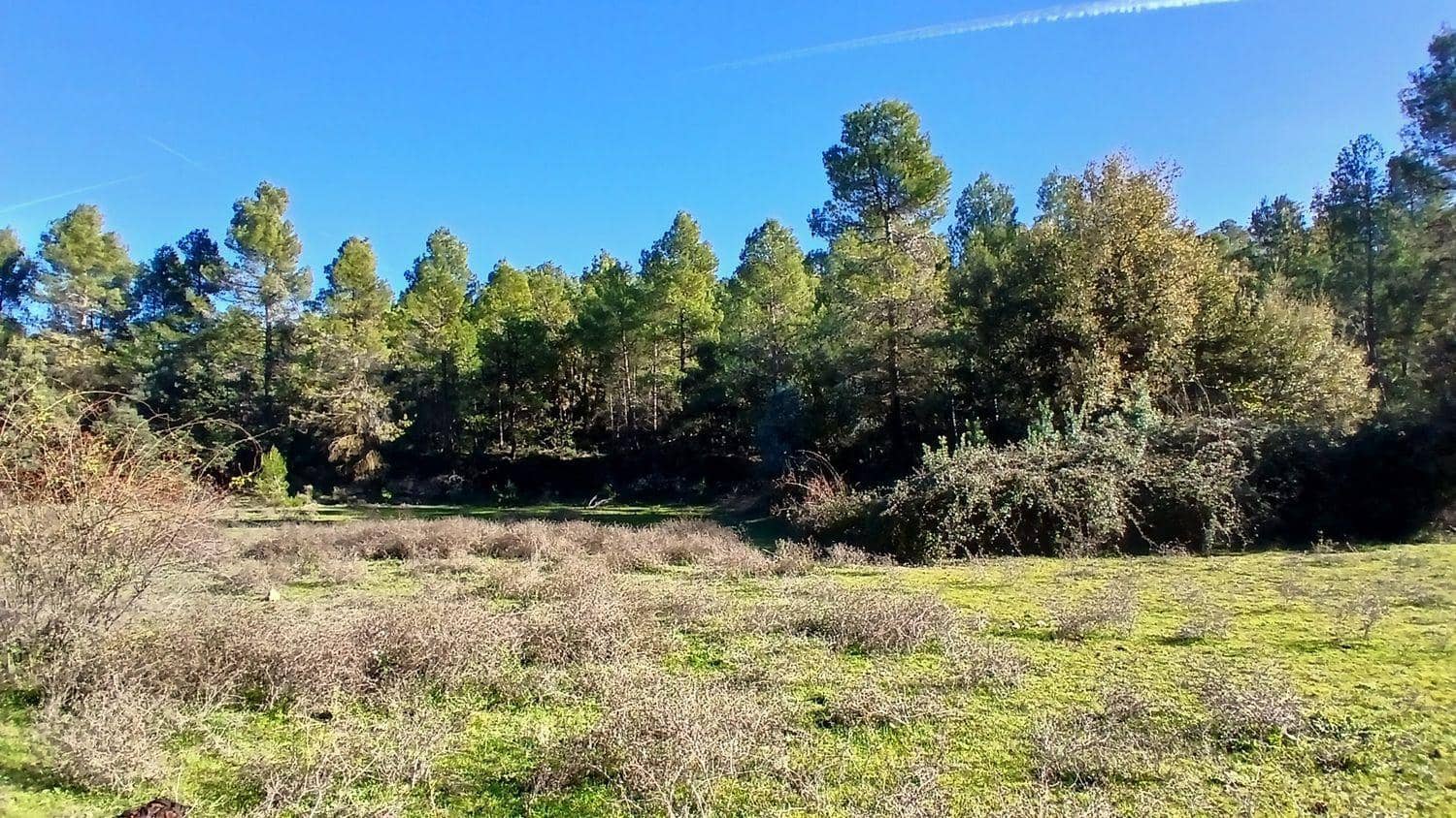 Terreno para Construção para venda em Cretas - 13 000 € (Ref: 10131419)