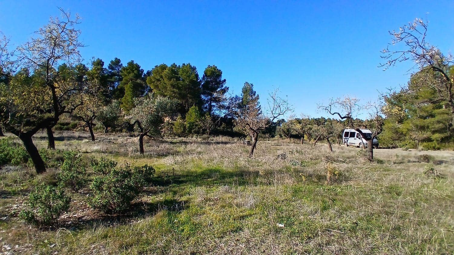 Terreno para Construção para venda em Cretas - 13 000 € (Ref: 10131419)