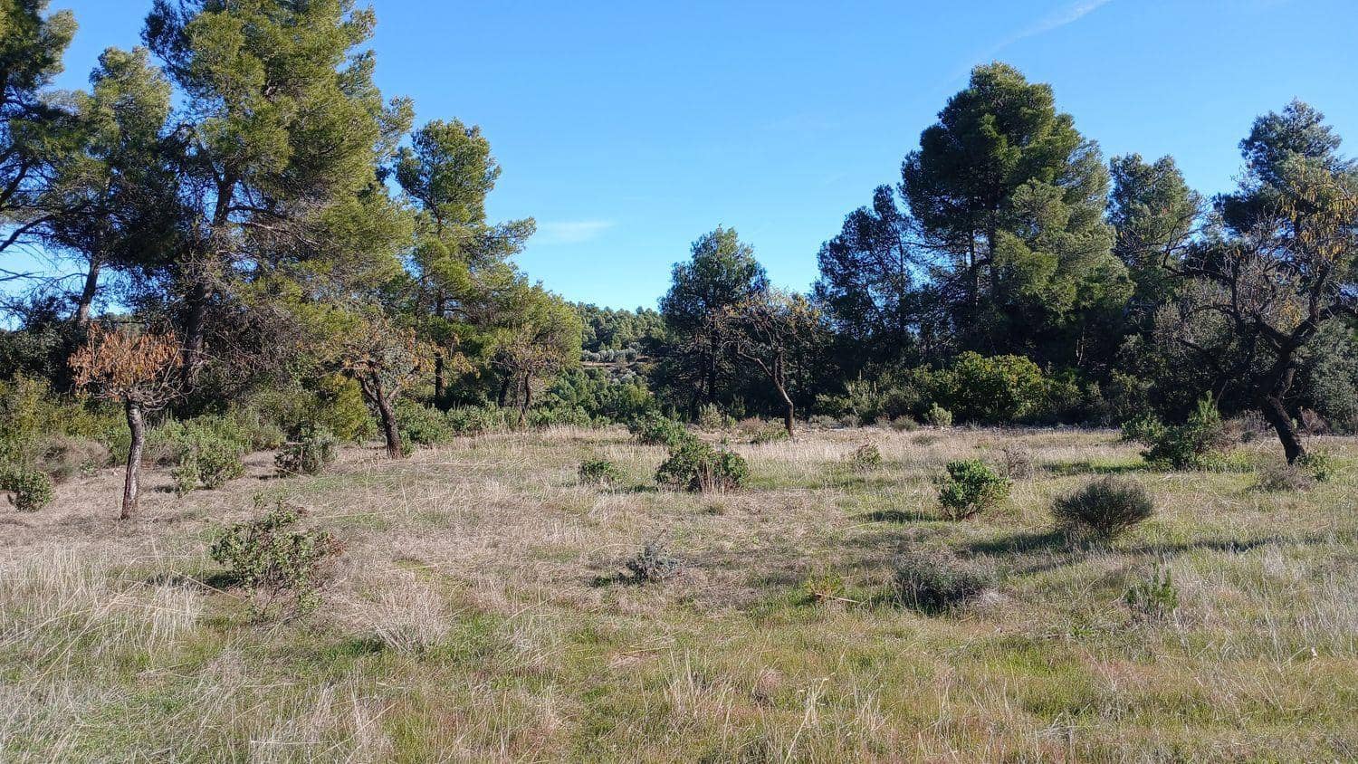 Terreno para Construção para venda em Cretas - 13 000 € (Ref: 10131419)