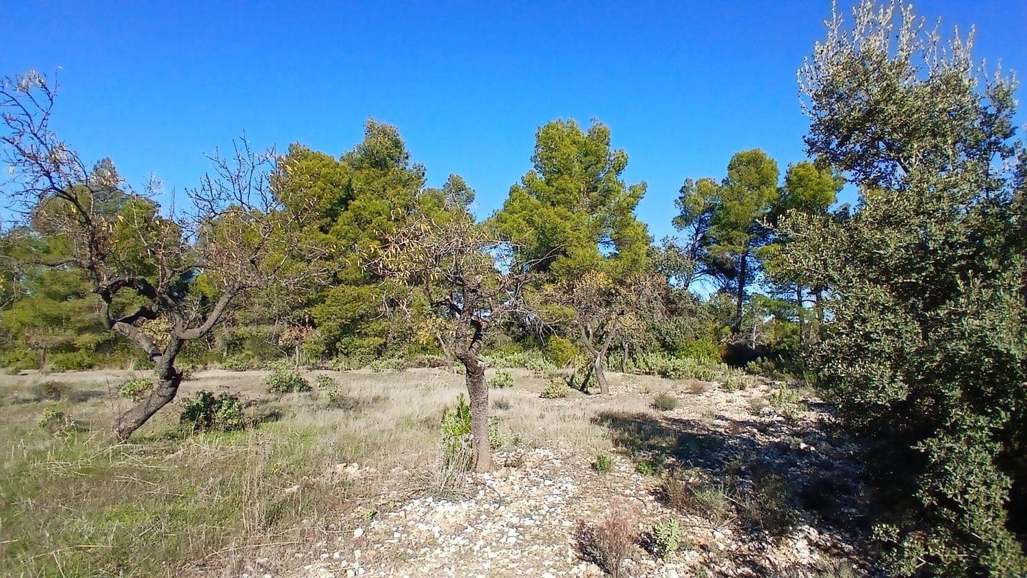 Building Plot for sale in Cretas - € 13,000 (Ref: 10131419)