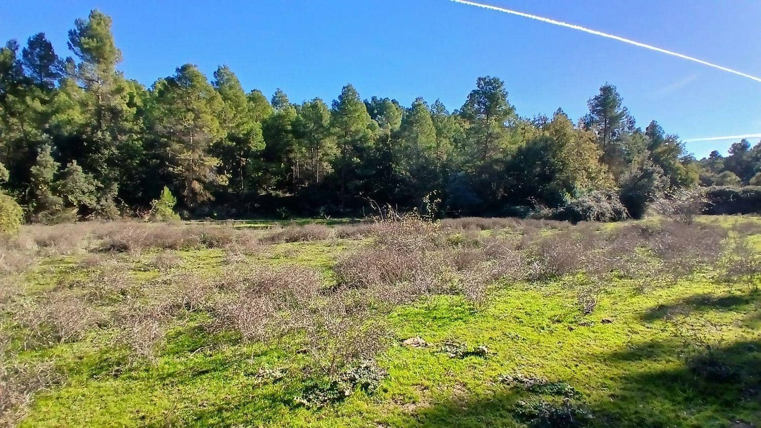 Building Plot for sale in Cretas - € 13,000 (Ref: 10131419)
