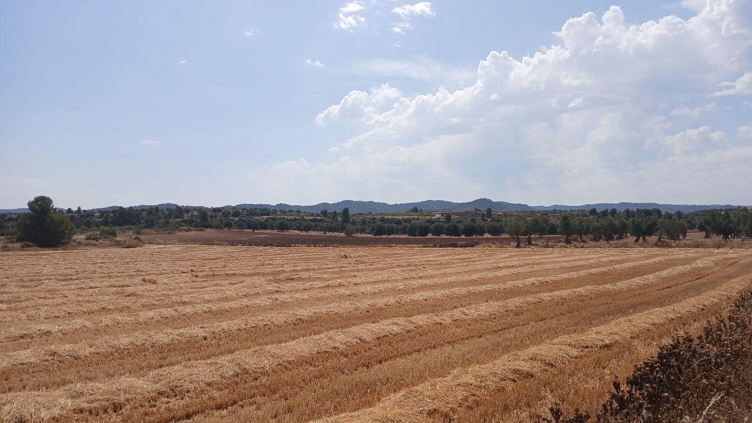 Terrain à Bâtir à vendre à Castelseras - 17 000 € (Ref: 10131421)