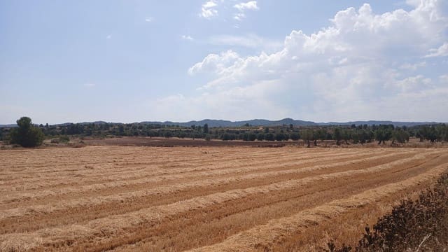 Bauplatz zu verkaufen in Castelserás - 17.000 € (Ref: 10131421)