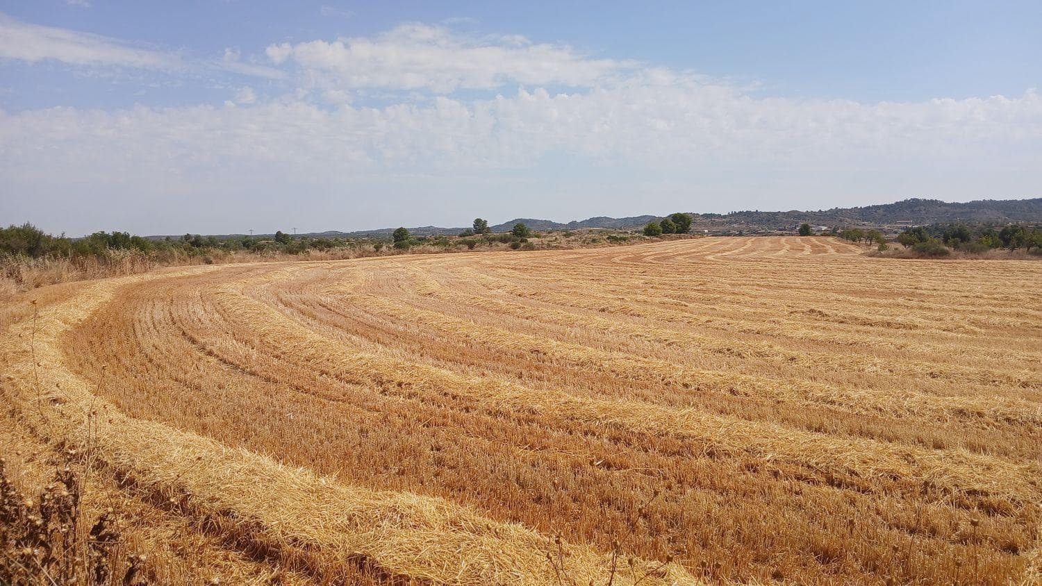 Terrain à Bâtir à vendre à Castelseras - 17 000 € (Ref: 10131421)
