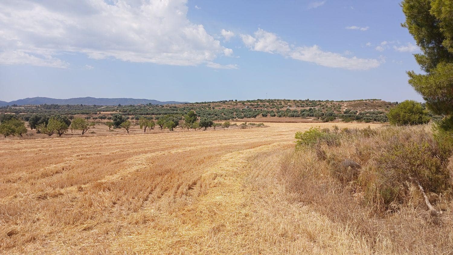 Terrain à Bâtir à vendre à Castelseras - 17 000 € (Ref: 10131421)