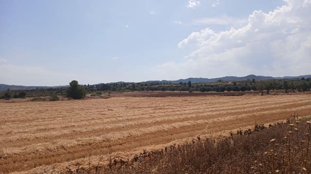 Bauplatz zu verkaufen in Castelserás - 17.000 € (Ref: 10131421)
