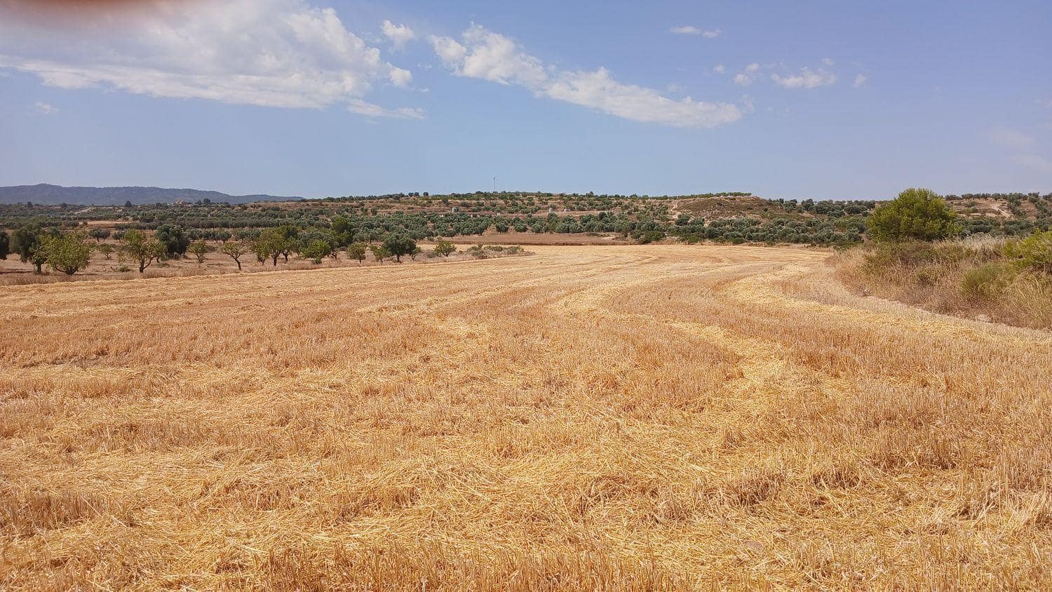 Terrain à Bâtir à vendre à Castelseras - 17 000 € (Ref: 10131421)