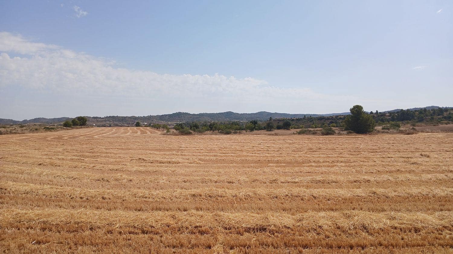 Terrain à Bâtir à vendre à Castelseras - 17 000 € (Ref: 10131421)