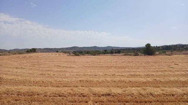 Bauplatz zu verkaufen in Castelserás - 17.000 € (Ref: 10131421)