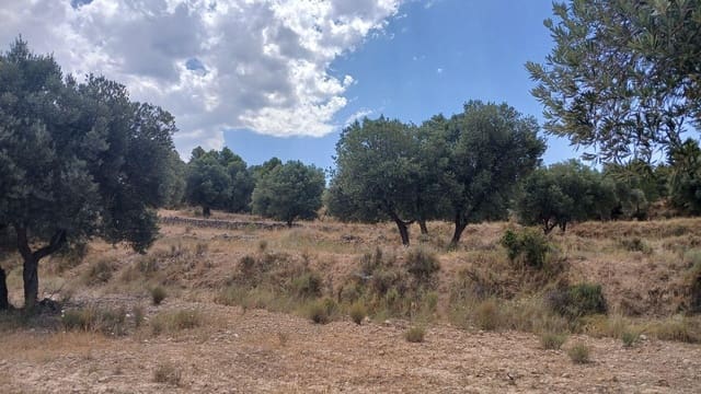 Bauplatz zu verkaufen in Torrevelilla - 6.000 € (Ref: 10131422)
