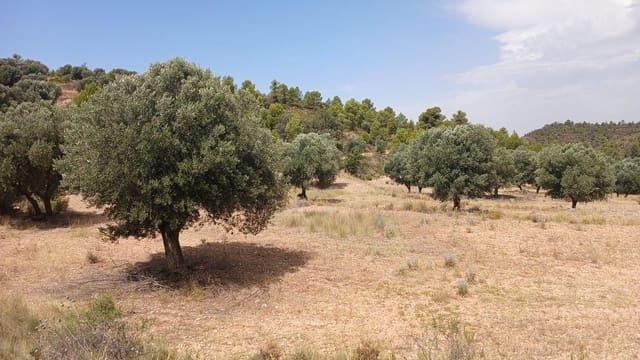 Bauplatz zu verkaufen in Torrevelilla - 6.000 € (Ref: 10131422)