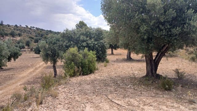 Bauplatz zu verkaufen in Torrevelilla - 6.000 € (Ref: 10131422)