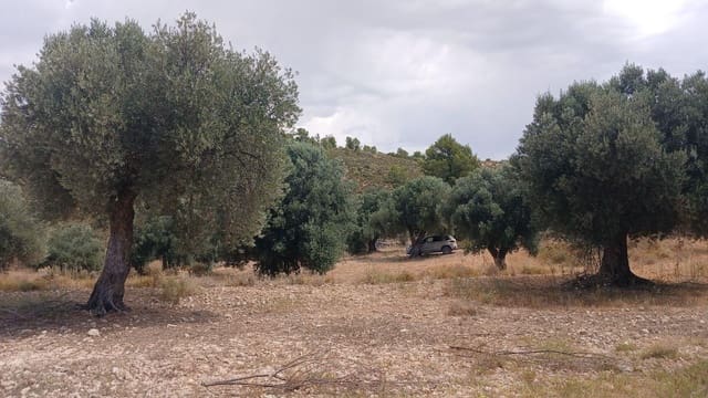 Bauplatz zu verkaufen in Torrevelilla - 6.000 € (Ref: 10131422)