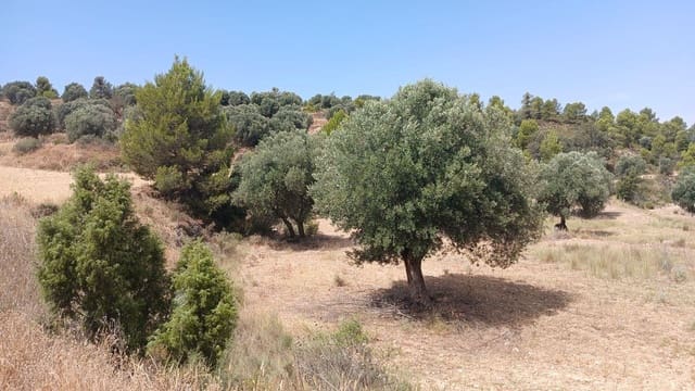 Bauplatz zu verkaufen in Torrevelilla - 6.000 € (Ref: 10131422)