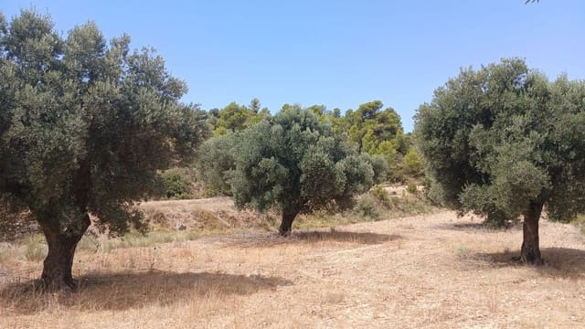 Bauplatz zu verkaufen in Torrevelilla - 6.000 € (Ref: 10131422)