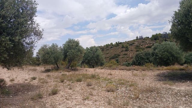 Bauplatz zu verkaufen in Torrevelilla - 6.000 € (Ref: 10131422)