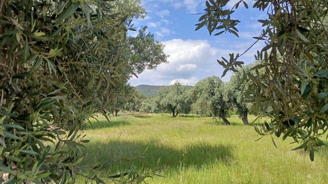 Solar/Parcela en La Portellada en venta - 15.000 € (Ref: 10171230)