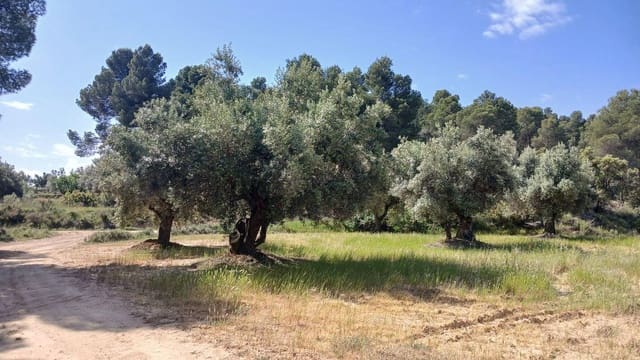 Solar/Parcela en La Portellada en venta - 15.000 € (Ref: 10171230)