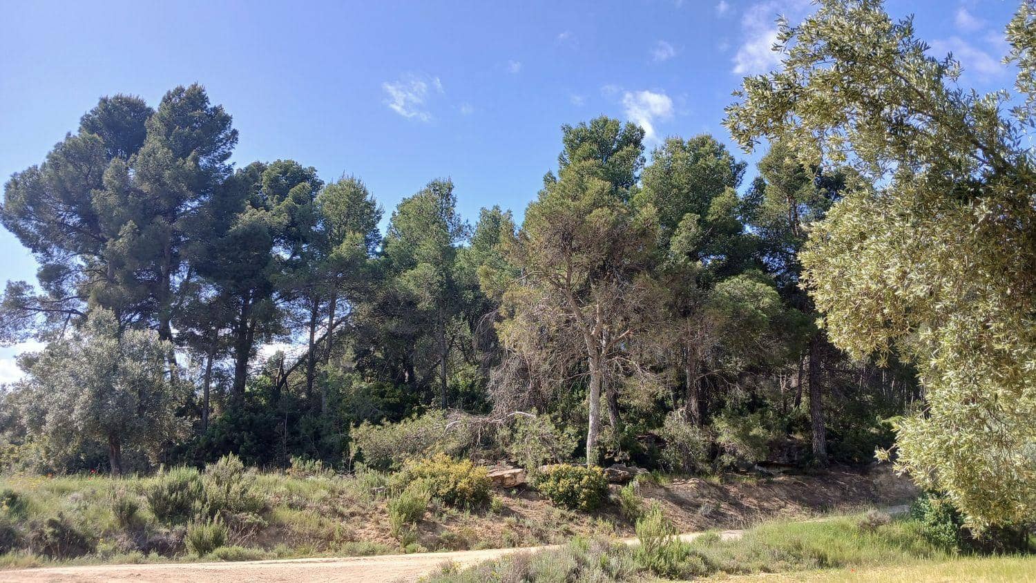Solar/Parcela en La Portellada en venta - 15.000 € (Ref: 10171230)