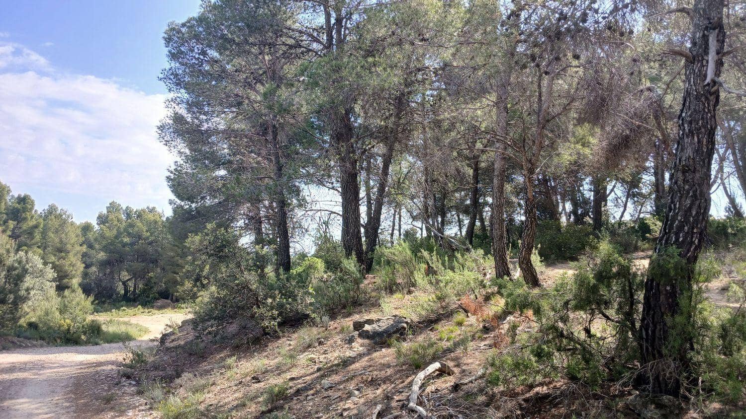 Solar/Parcela en La Portellada en venta - 15.000 € (Ref: 10171230)