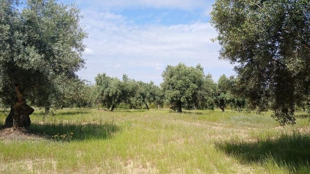 Solar/Parcela en La Portellada en venta - 15.000 € (Ref: 10171230)