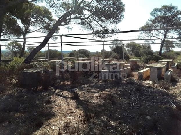 12 soveværelse Finca/Landehus til salg i Llucmajor - € 3.800.000 (Ref: 7985294)