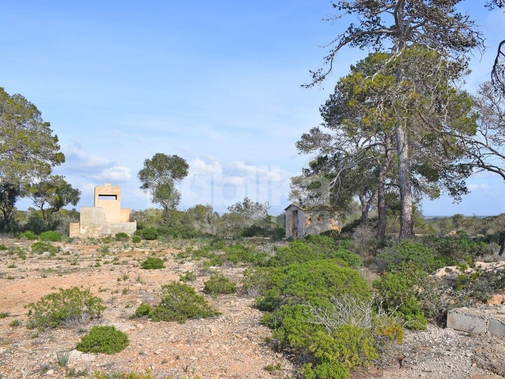 12 soveværelse Finca/Landehus til salg i Llucmajor - € 3.800.000 (Ref: 7985294)