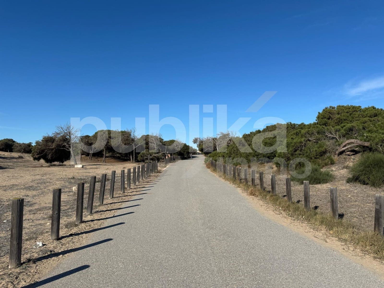 Erhverv til salg i Guardamar del Segura - € 1.800.000 (Ref: 8117534)