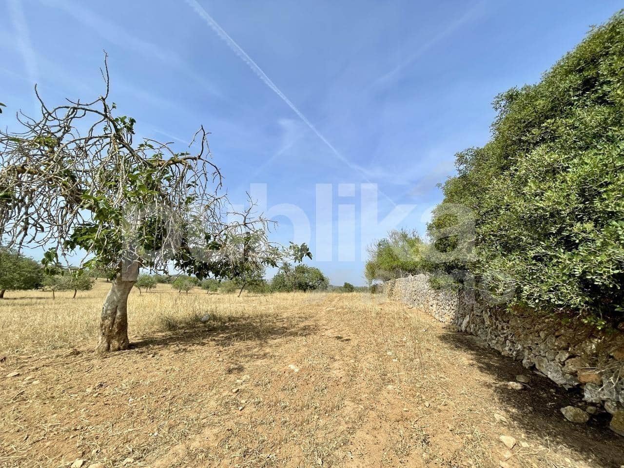 10 soveværelse Finca/Landehus til salg i Portocristo / Port de Manacor - € 3.390.000 (Ref: 8419791)
