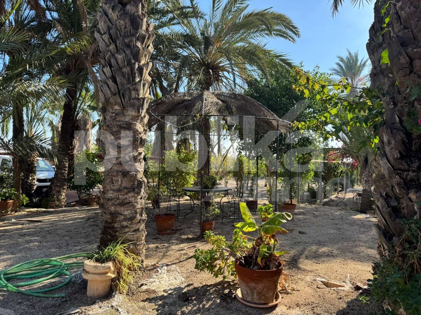 10 sovrum Villa till salu i Elche / Elx med pool - 580 000 € (Ref: 9847993)