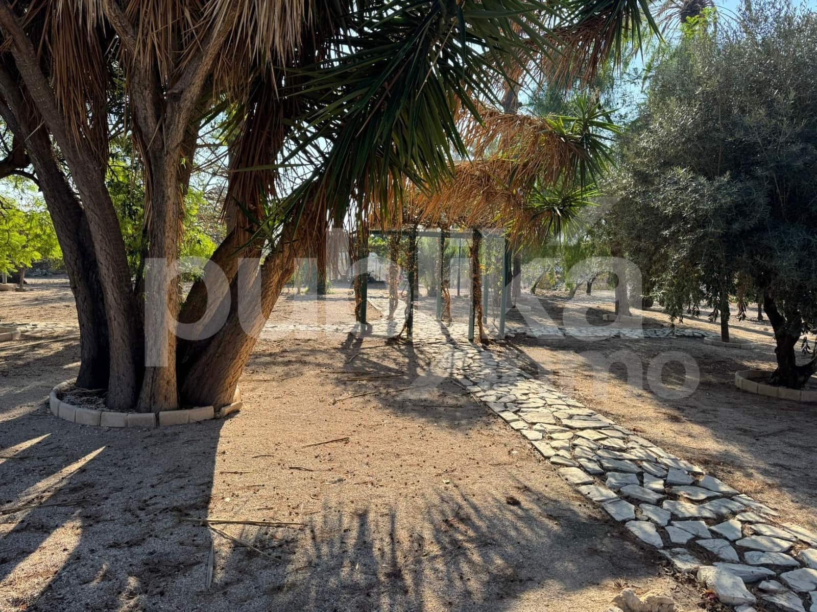 10 sovrum Villa till salu i Elche / Elx med pool - 580 000 € (Ref: 9847993)