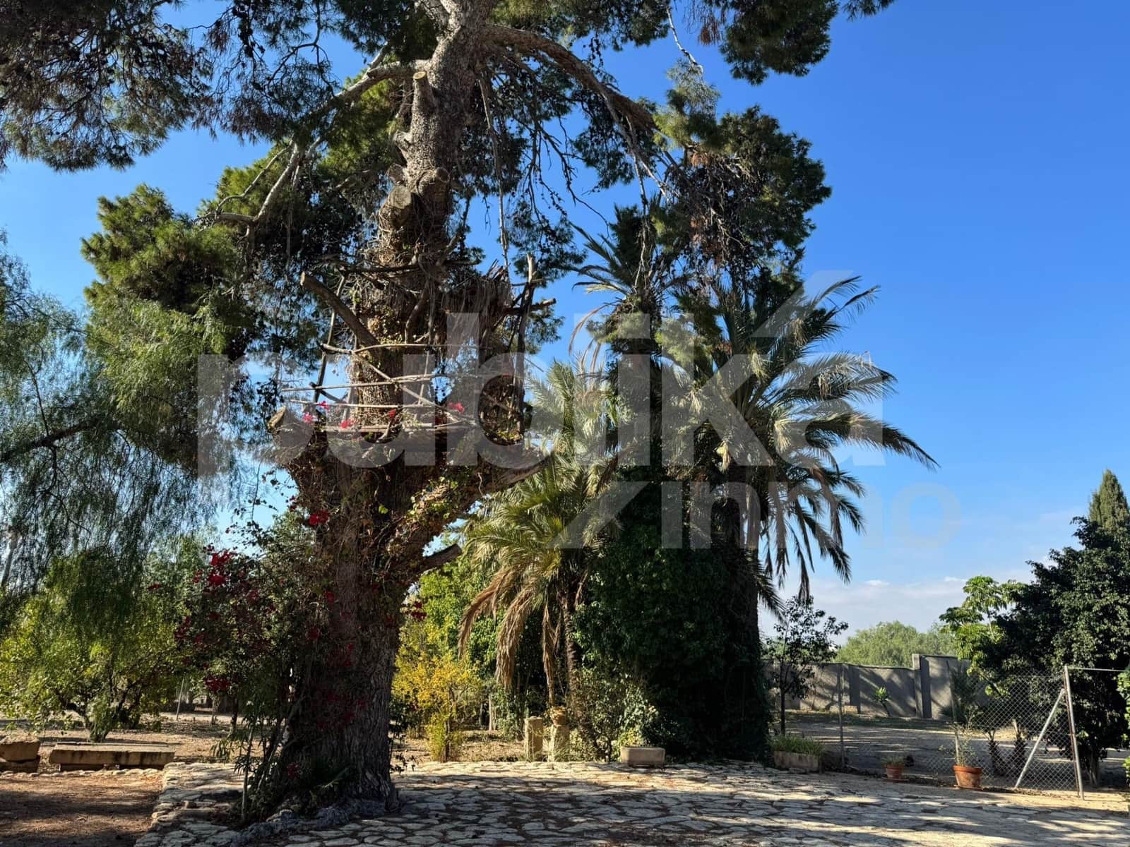 10 sovrum Villa till salu i Elche / Elx med pool - 580 000 € (Ref: 9847993)