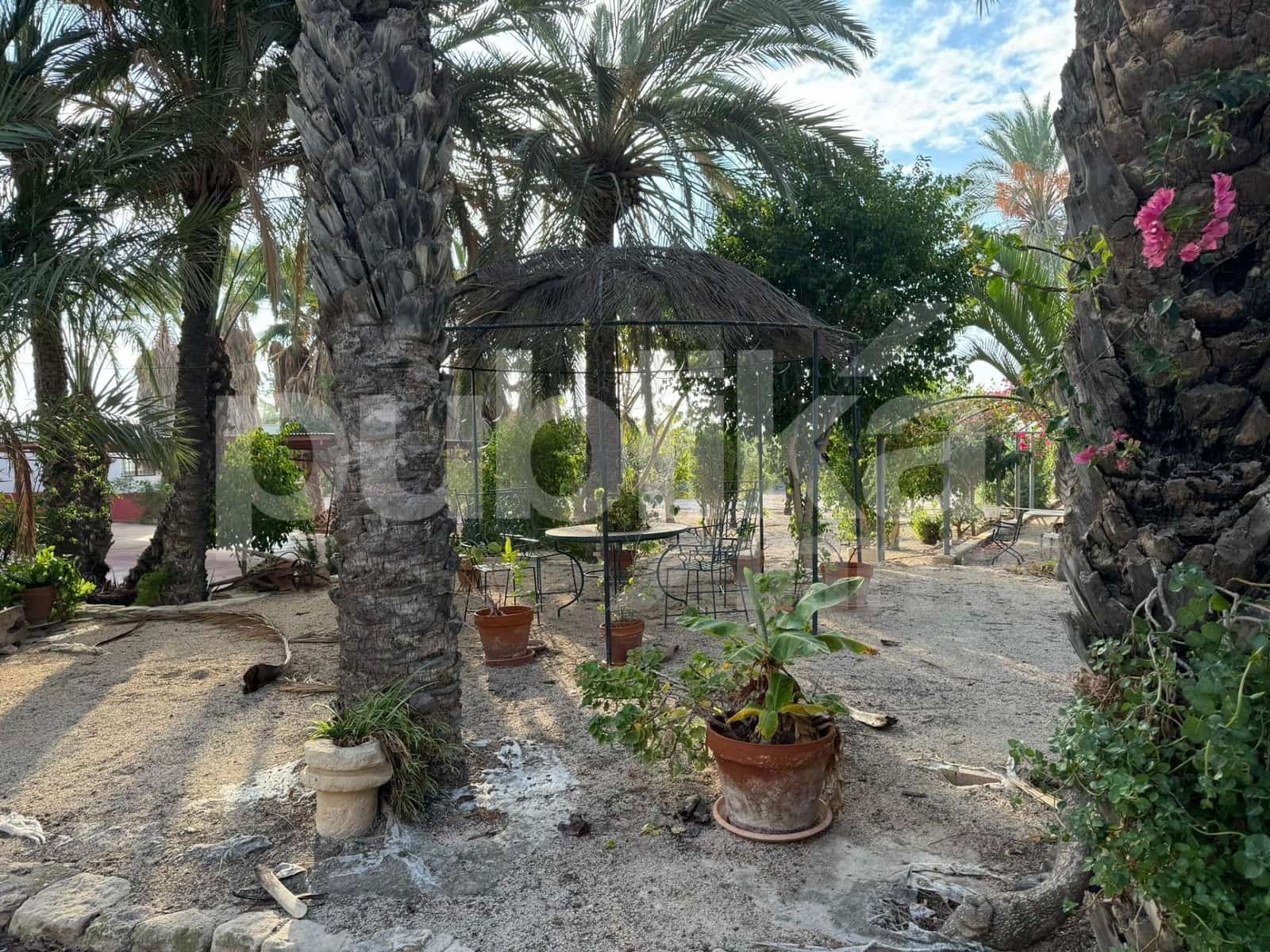 10 sovrum Villa till salu i Elche / Elx med pool - 580 000 € (Ref: 9847993)
